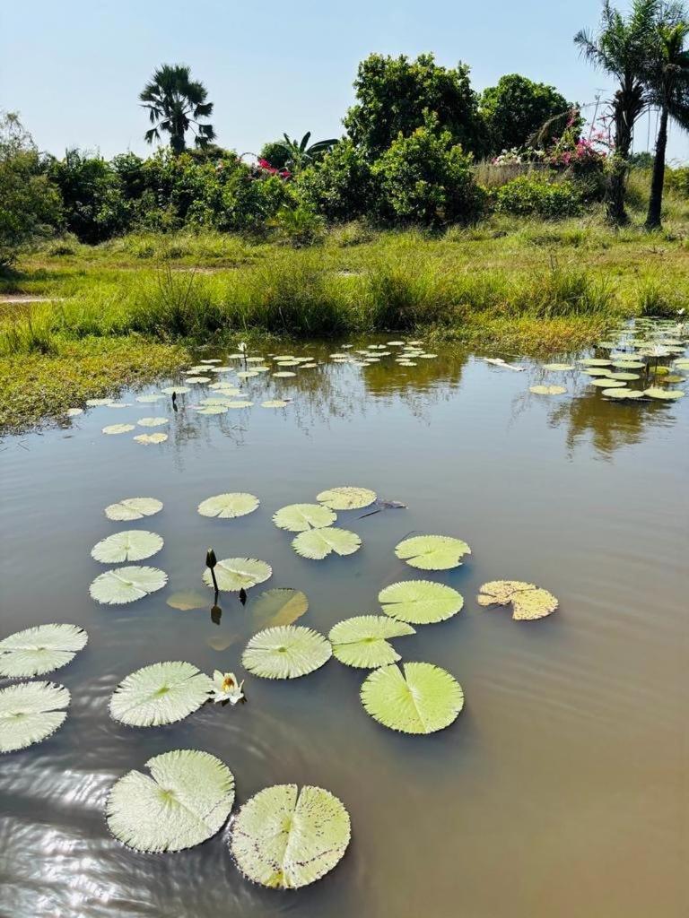 Heda House Bed and Breakfast Sanyang Buitenkant foto
