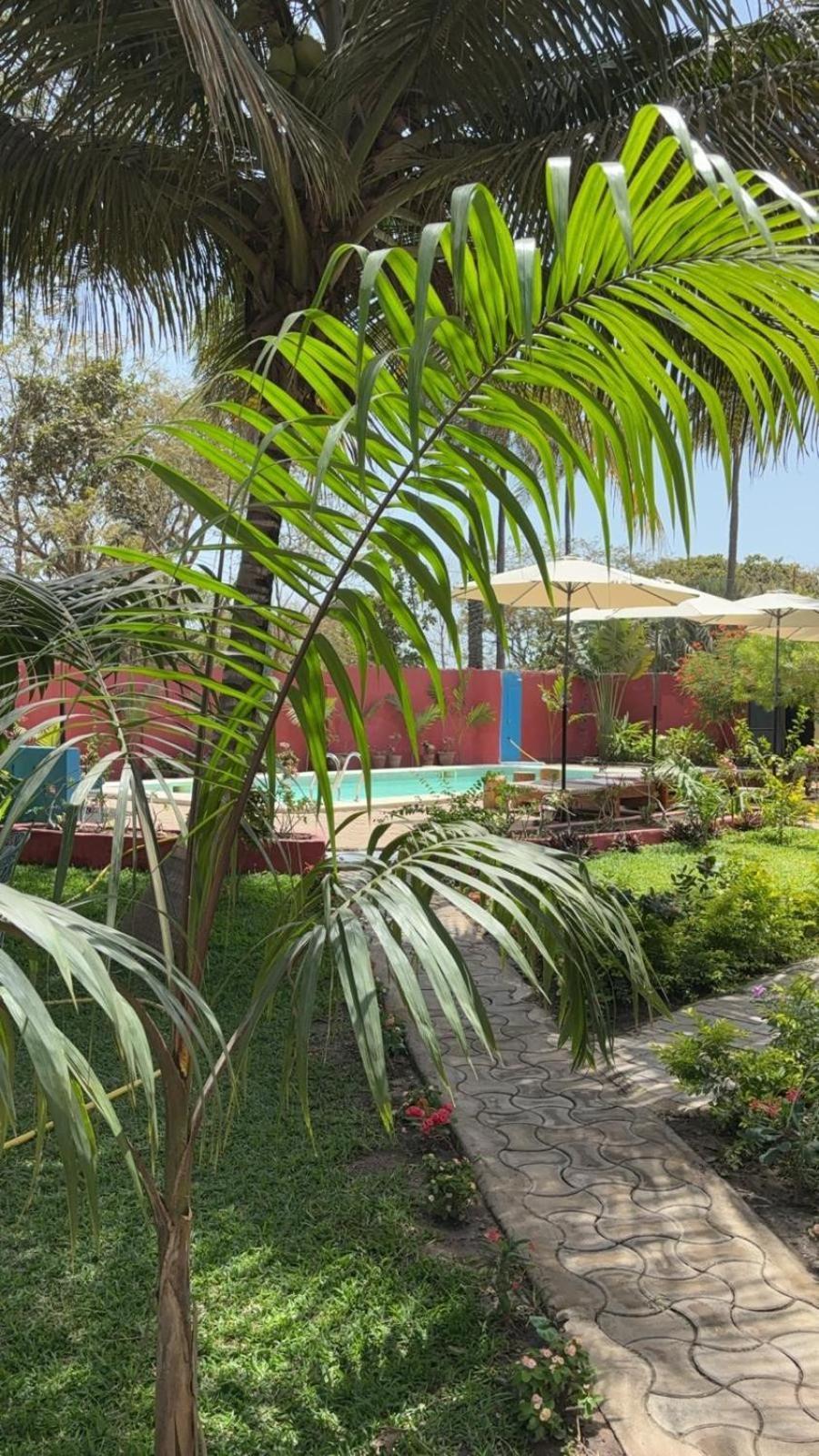 Heda House Bed and Breakfast Sanyang Buitenkant foto